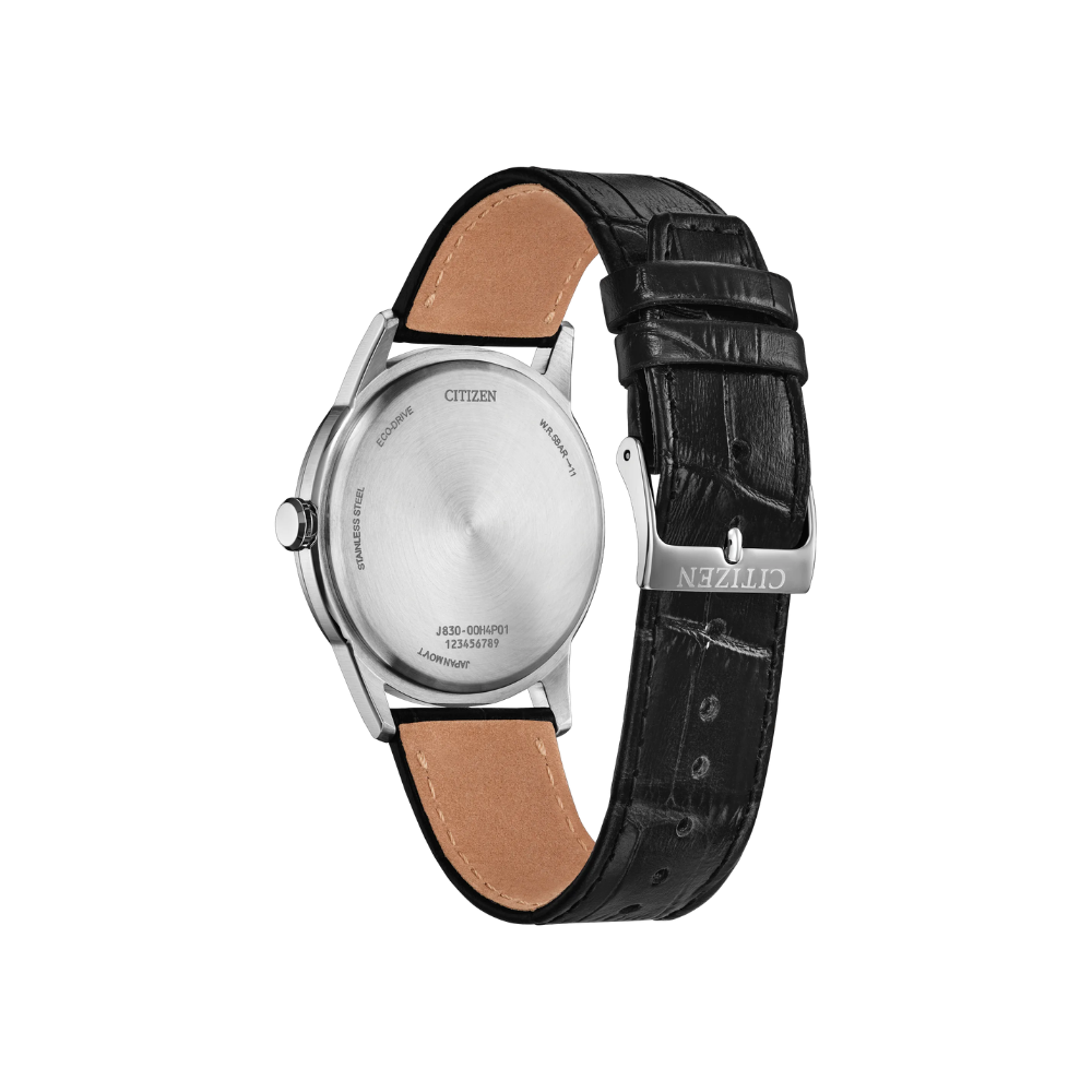 Citizen Rolan Eco-Drive Watch