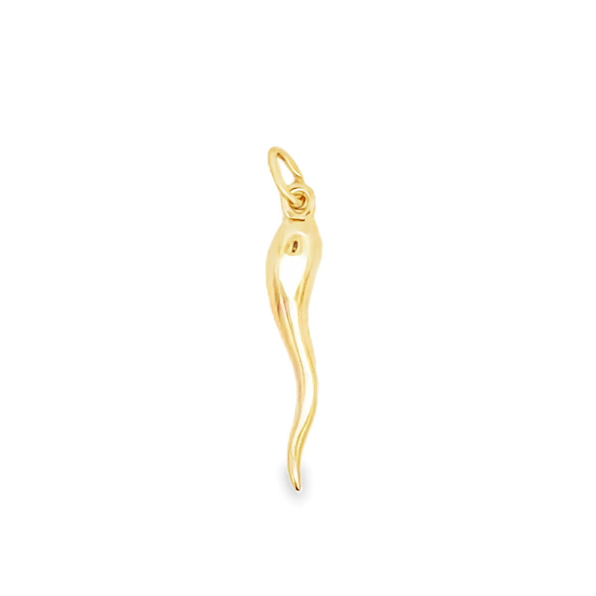 Italian Horn Pendant