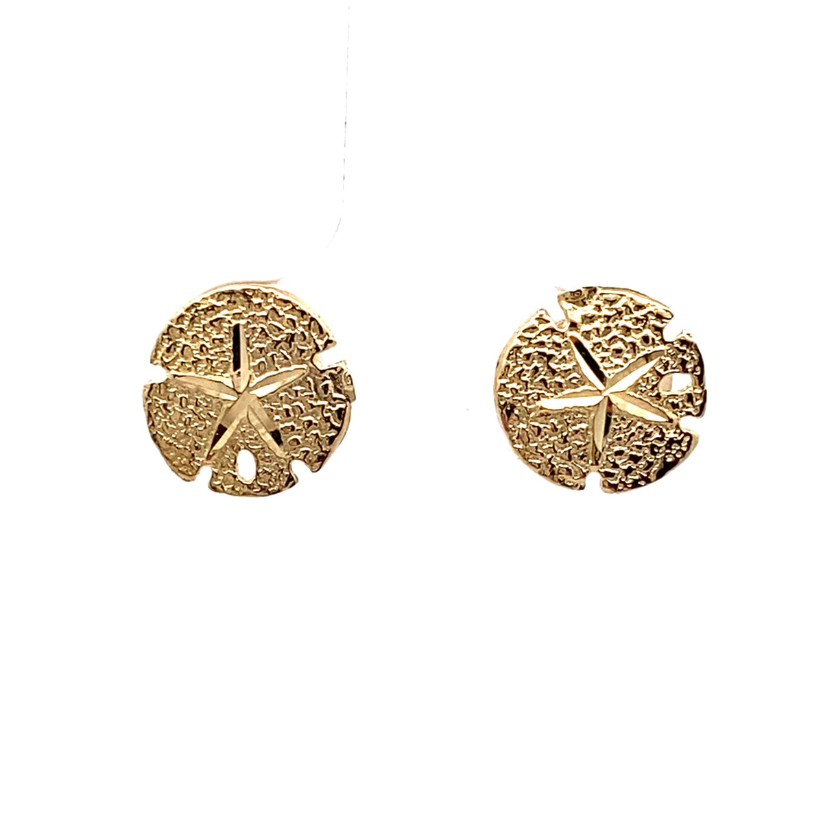 Sand Dollar Stud Earrings